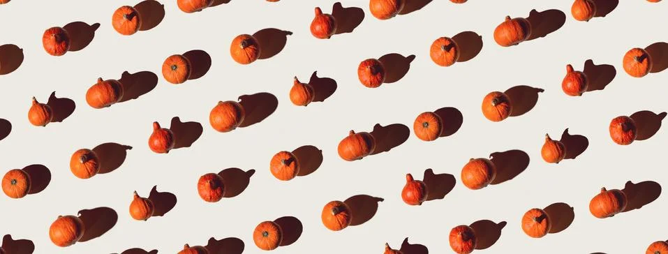 Pattern of many different pumpkins with a hard shadow on a gray background. H 写真素材