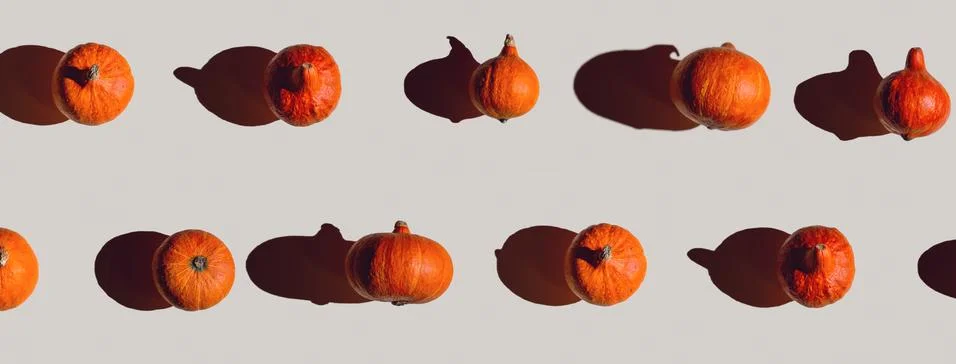 Pattern of many different pumpkins with a hard shadow on a gray background. H Photos