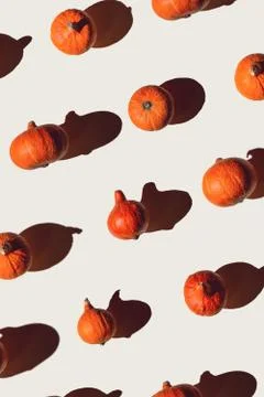 Pattern of many different pumpkins with a hard shadow on a gray background. H Fotos Stock