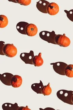 Pattern of many different pumpkins with a hard shadow on a gray background Foto stock