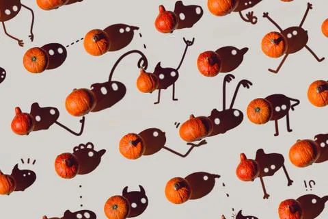 Pattern of many different pumpkins with a hard shadow on a gray background. H Photos