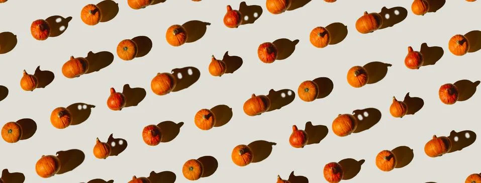 Pattern of many different pumpkins with a hard shadow on a gray background. H 库存照片
