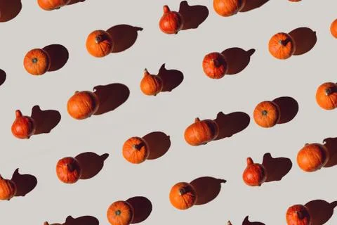 Pattern of many different pumpkins with a hard shadow on a gray background. H Photos
