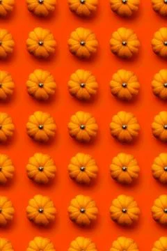 Pattern: many small orange pumpkins on a red background 스톡 사진