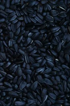 A pattern of many unprocessed fried sunflower seeds in a black shell. Stock Photos