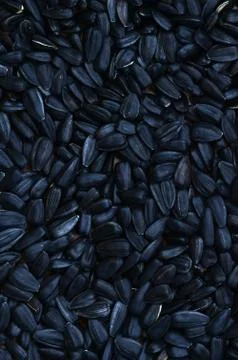 A pattern of many unprocessed fried sunflower seeds in a black shell. Stock Photos