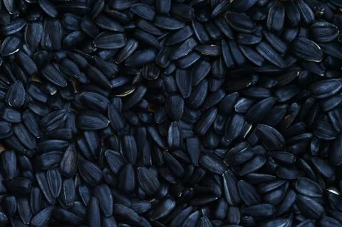 A pattern of many unprocessed fried sunflower seeds in a black shell. Stock Photos