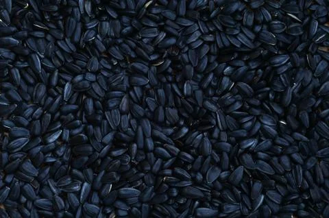 A pattern of many unprocessed fried sunflower seeds in a black shell. Stock Photos