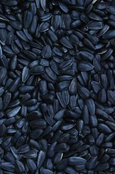 A pattern of many unprocessed fried sunflower seeds in a black shell. Stock Photos