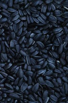 A pattern of many unprocessed fried sunflower seeds in a black shell. Stock Photos