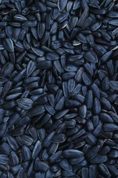 A pattern of many unprocessed fried sunflower seeds in a black shell. Foto stock