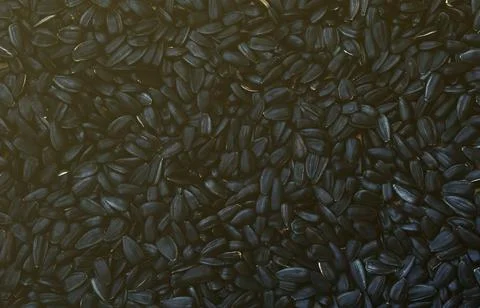 A pattern of many unprocessed fried sunflower seeds in a black shell. Foto stock