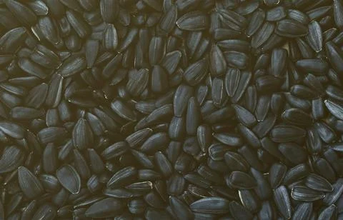 A pattern of many unprocessed fried sunflower seeds in a black shell. Foto stock