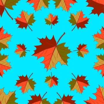 Pattern - Maple leaf Stock Illustration