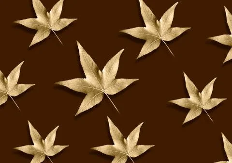 Pattern of maple leaves on brown background Stock Photos
