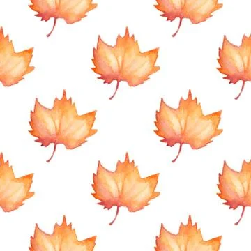 Pattern with maple leaves Illustrazione stock