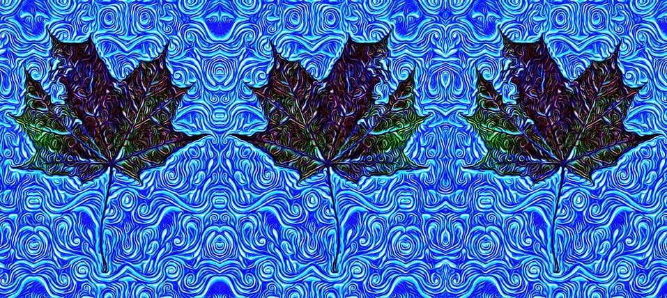 Pattern of maple tree leaves Stock Photos