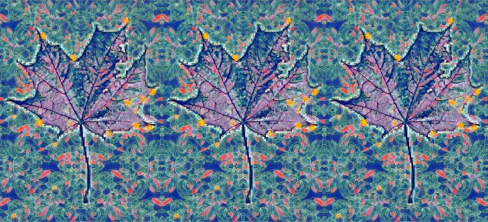 Pattern of maple tree leaves Stock Photos