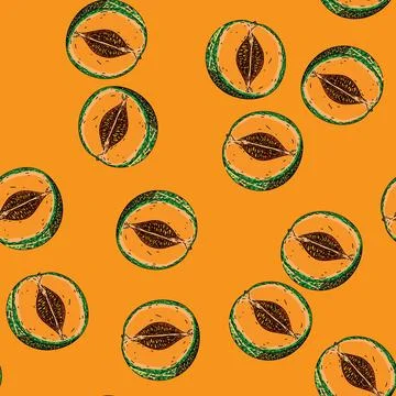 Pattern melon cantaloupe cut sketch hand drawn イラスト素材