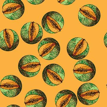 Pattern melon cantaloupe sketch hand drawn 库存插图