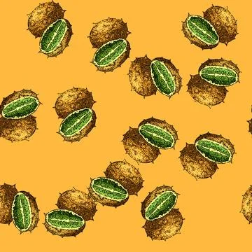 Pattern melon kiwano sketch hand drawn Stock Illustration