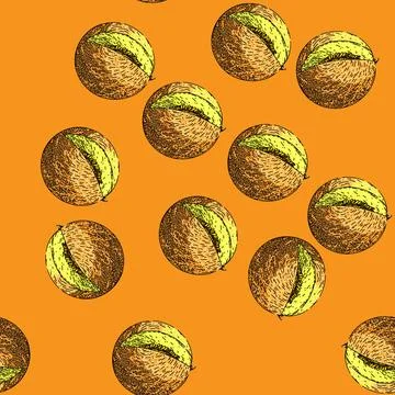 Pattern melon yellow sketch hand drawn Stock Illustration