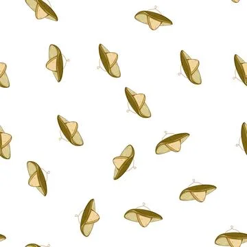 Pattern mexico sombrero cartoon vector Stock Illustration
