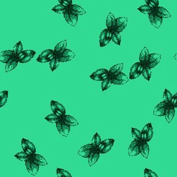 Pattern mint mint sketch hand drawn イラスト素材