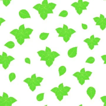 Pattern with mint on white Stock Illustration