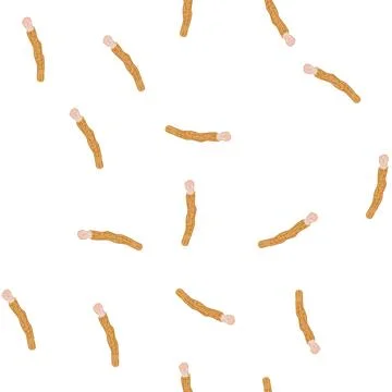 Pattern miswak natural teeth cleaning stick for oral hygiene Stock Illustration