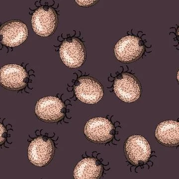 Pattern mite tick sketch hand drawn Ilustração Stock