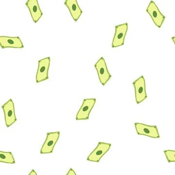 Pattern money cash cartoon vector Illustrazione stock