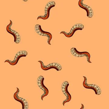 Pattern monster octopus kraken tentacle sketch hand drawn Illustrazione stock