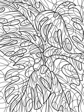Pattern. Monstera, home plant with large leaves. Page outline of cartoon. Vector Stock Illustration