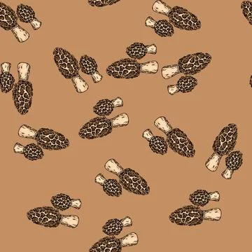 Pattern morel mushroom sketch hand drawn Stock Illustration