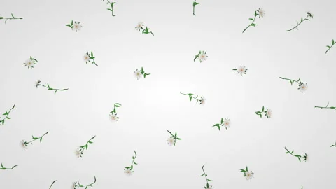 Pattern of moving flowers on a white background. Stock Footage 122458331