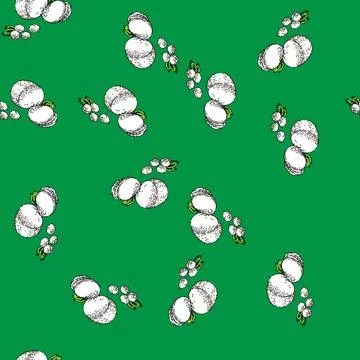 Pattern mozzarella cheese sketch hand drawn Stock Illustration