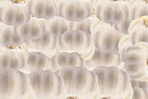 Pattern of multiple whole white garlic bulbs, overlapping vegetable backgro.. 库存照片