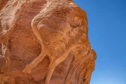 Pattern on The Mushroom in park Timna Stock Photos