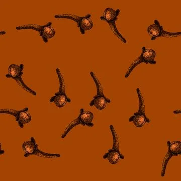 Pattern natural clove spice sketch hand drawn Stock Illustration