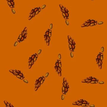 Pattern natural dried fruit sketch hand drawn Stock Illustration