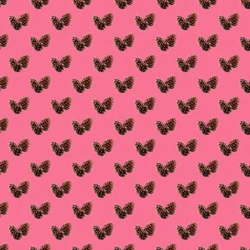 Pattern of natural dried pine cones on hot pink background Stock Photos