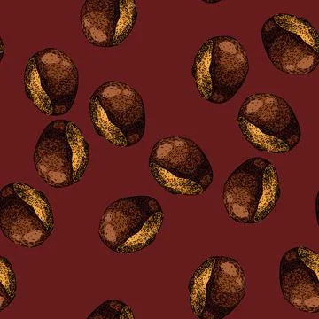 Pattern natural guarana fruit sketch hand drawn Stock Illustration