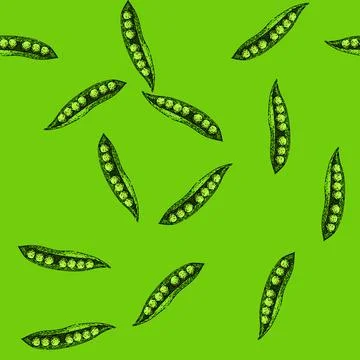 Pattern natural pea sketch hand drawn Stock Illustration