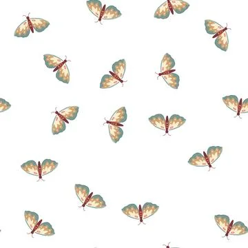 Pattern nature boho moth cartoon vector Stock Illustration