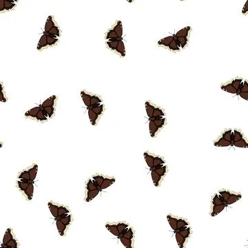 Pattern nature butterfly cartoon vector Stock Illustration