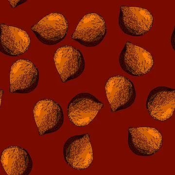 Pattern nature chestnut sketch hand drawn Stock Illustration