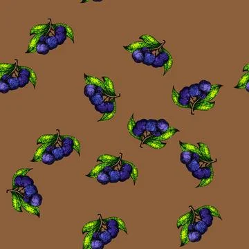 Pattern nature chokeberry aronia sketch hand drawn Illustrazione stock