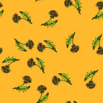 Pattern nature dandelion sketch hand drawn Stock Illustration
