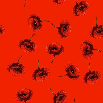 Pattern nature poppy sketch hand drawn Stock Illustration